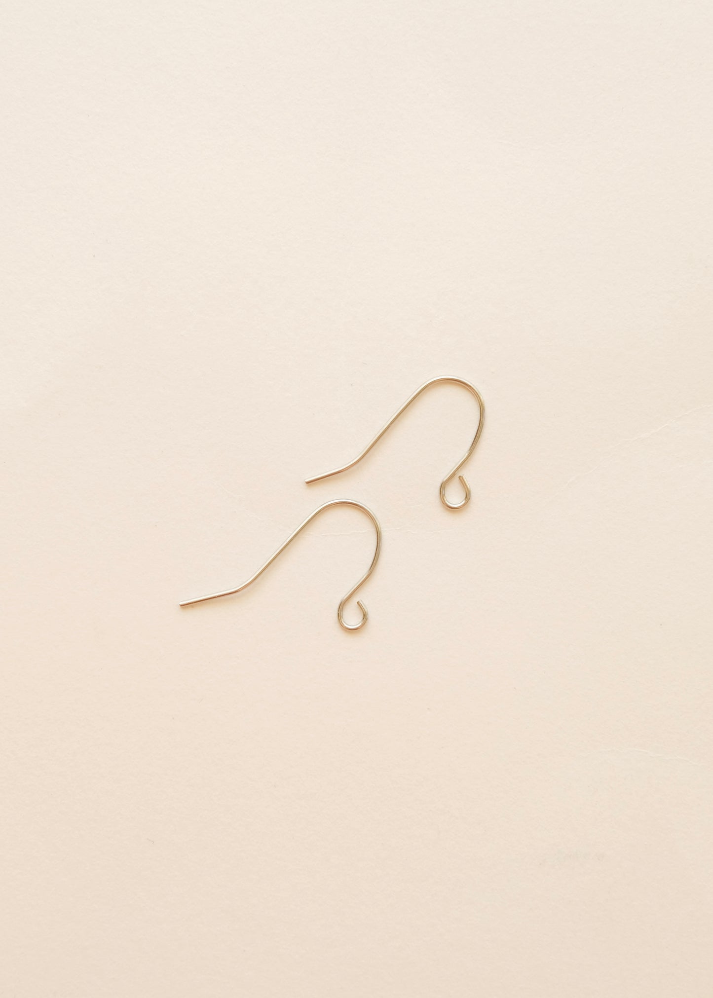 Stainless Steel Silver Hooks Swap