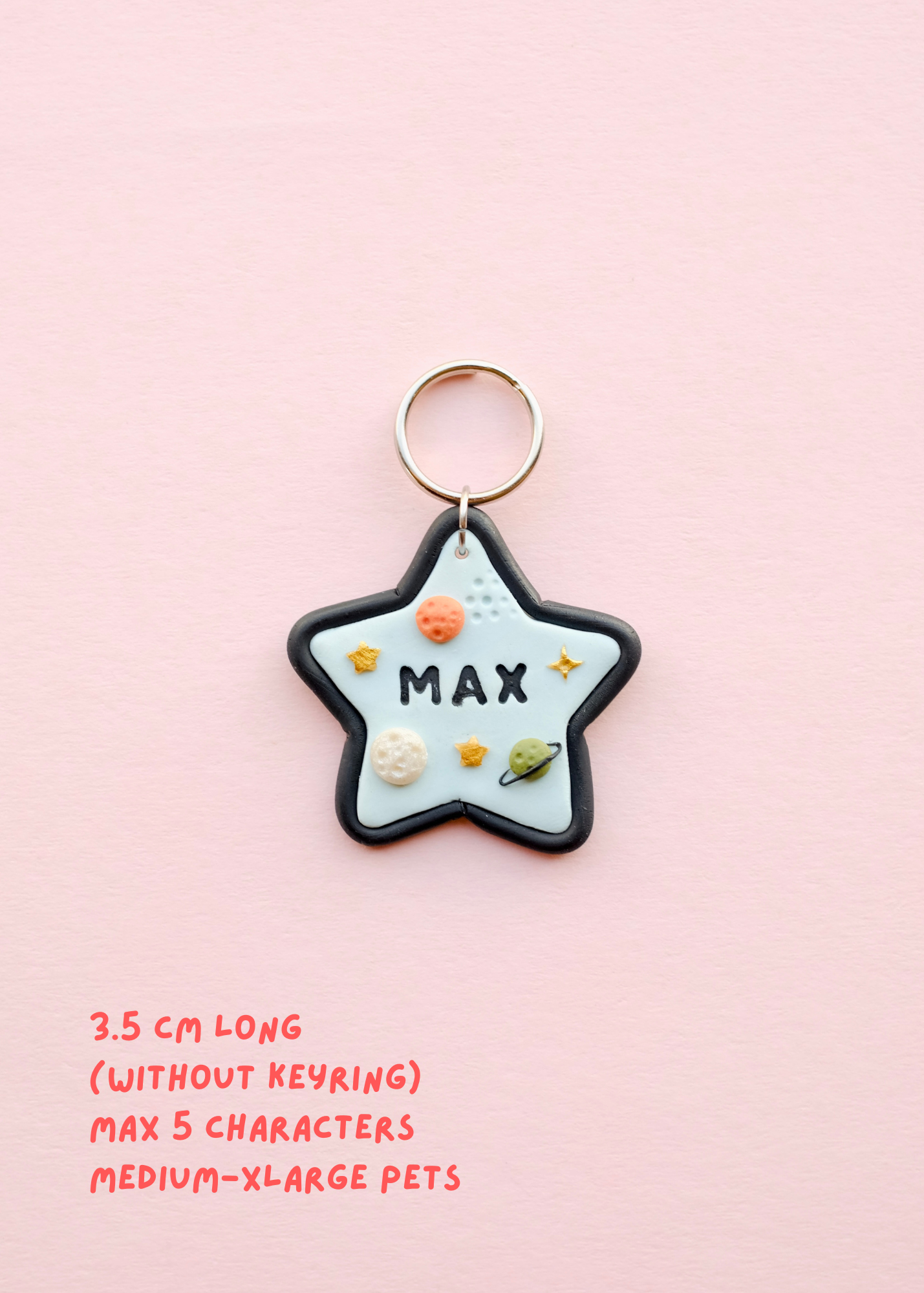 Pet Tag Keychain
