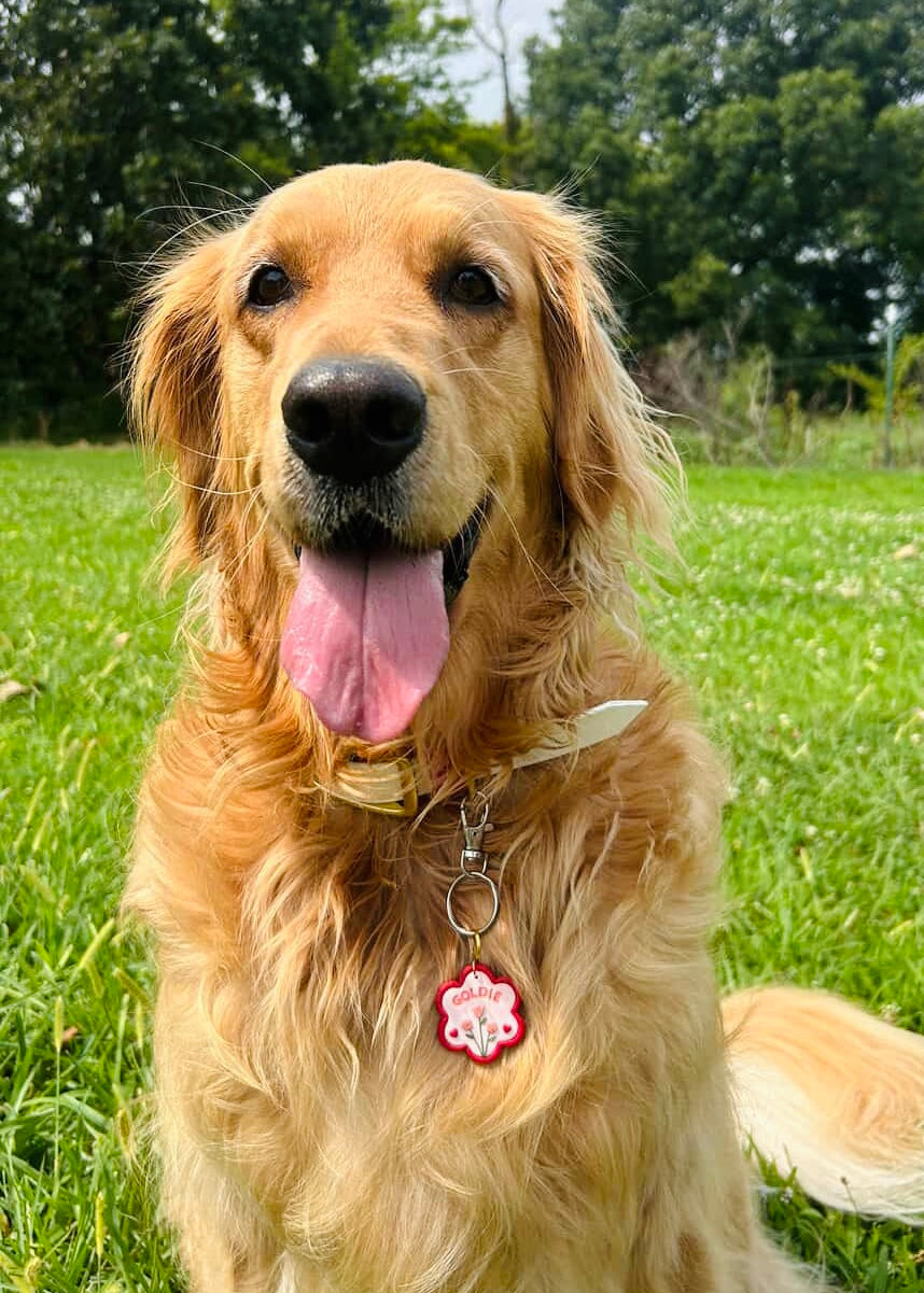 Pet Tag Keychain
