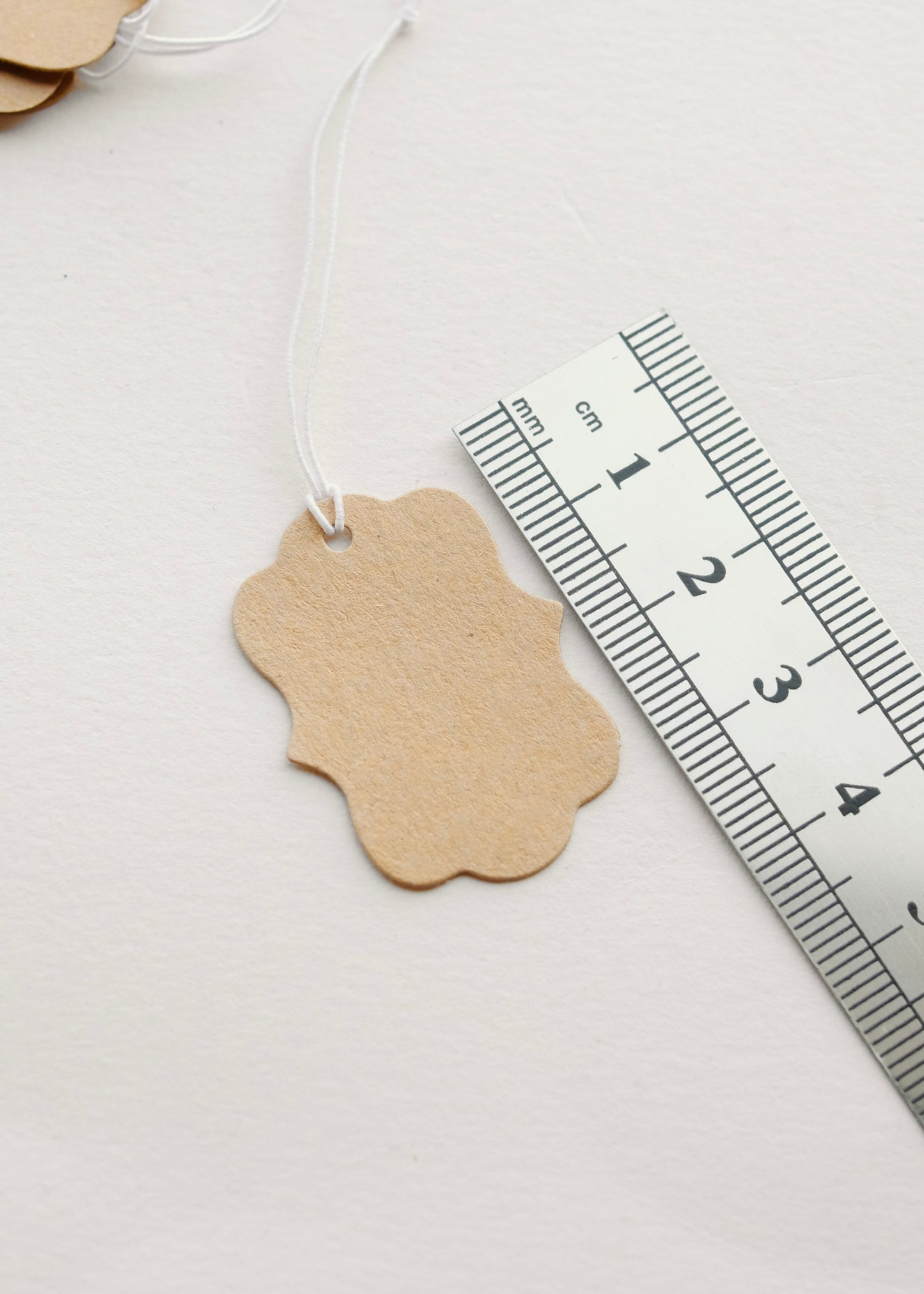Small Kraft Gift Tags S.H.