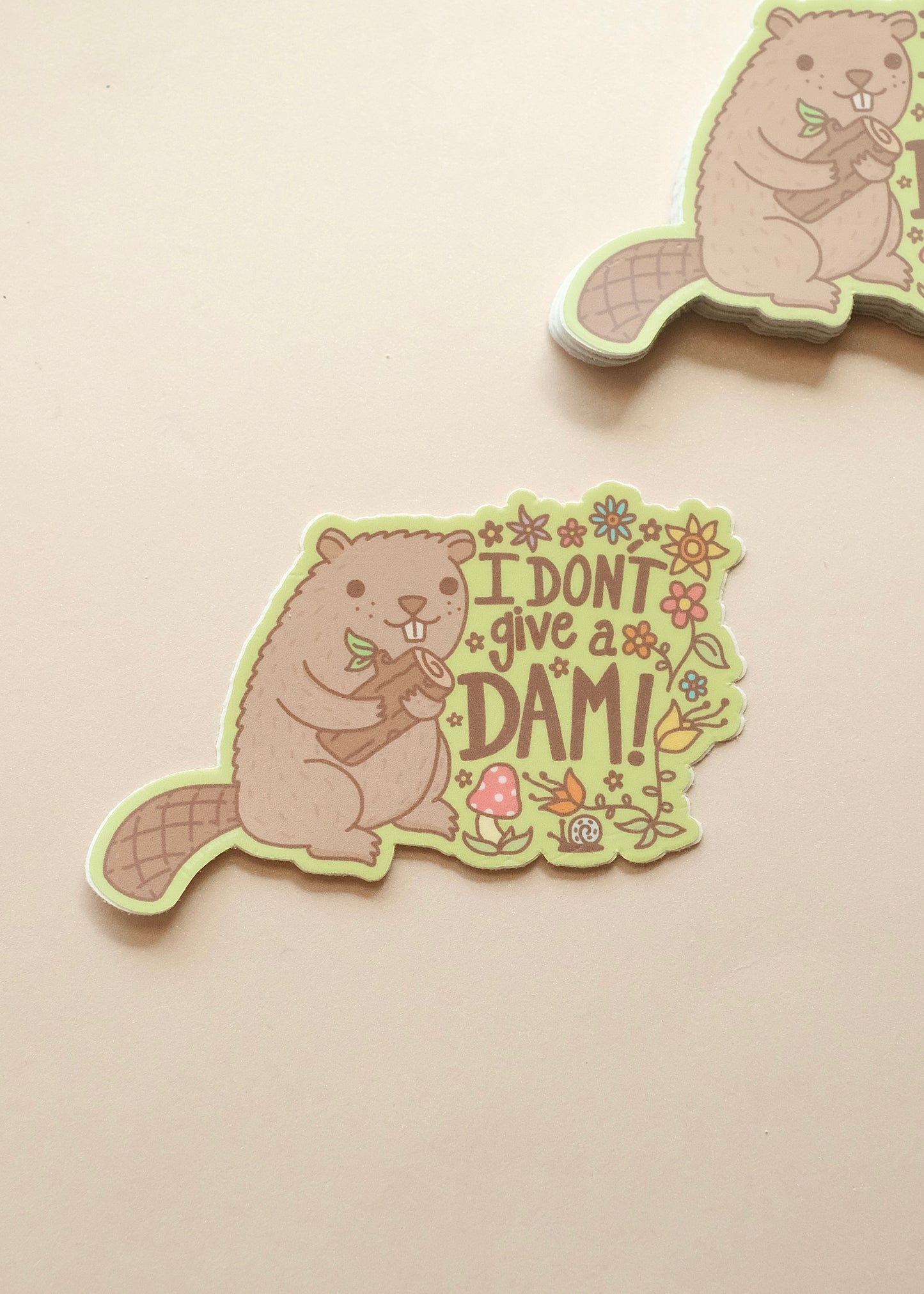 I Don’t Give a Dam Sticker