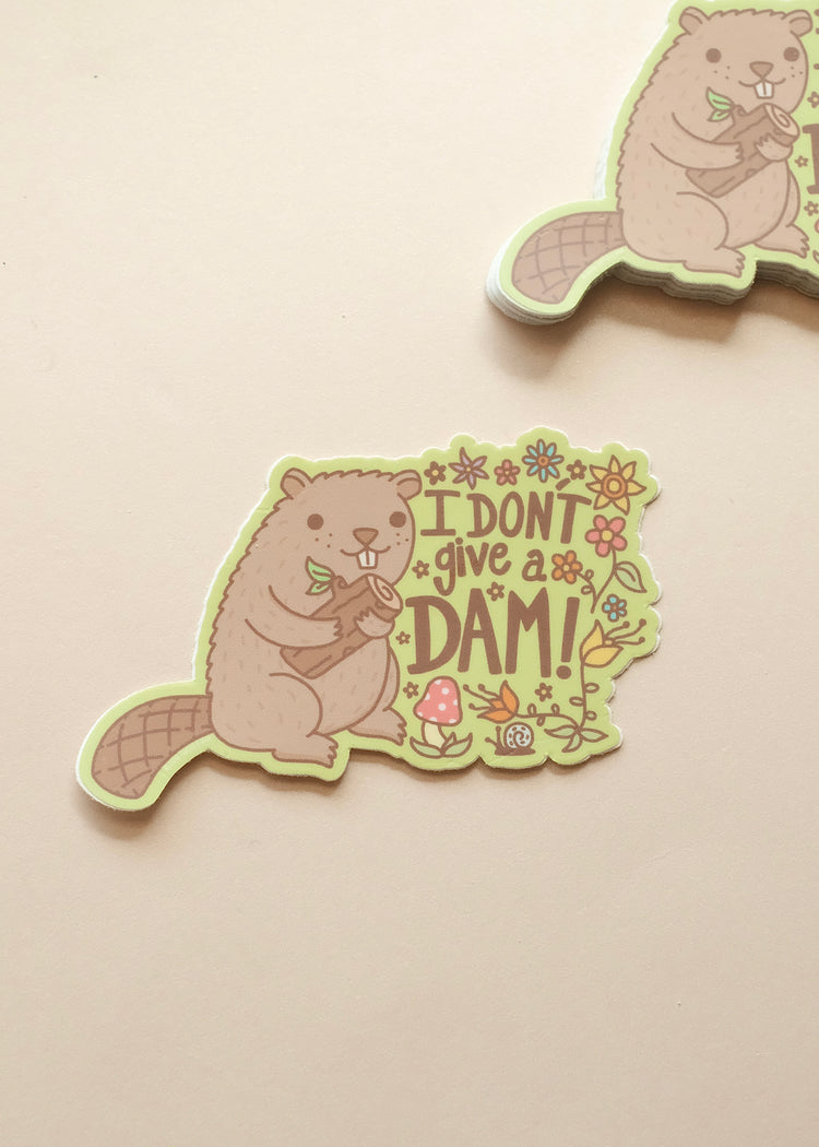 I Don’t Give a Dam Sticker