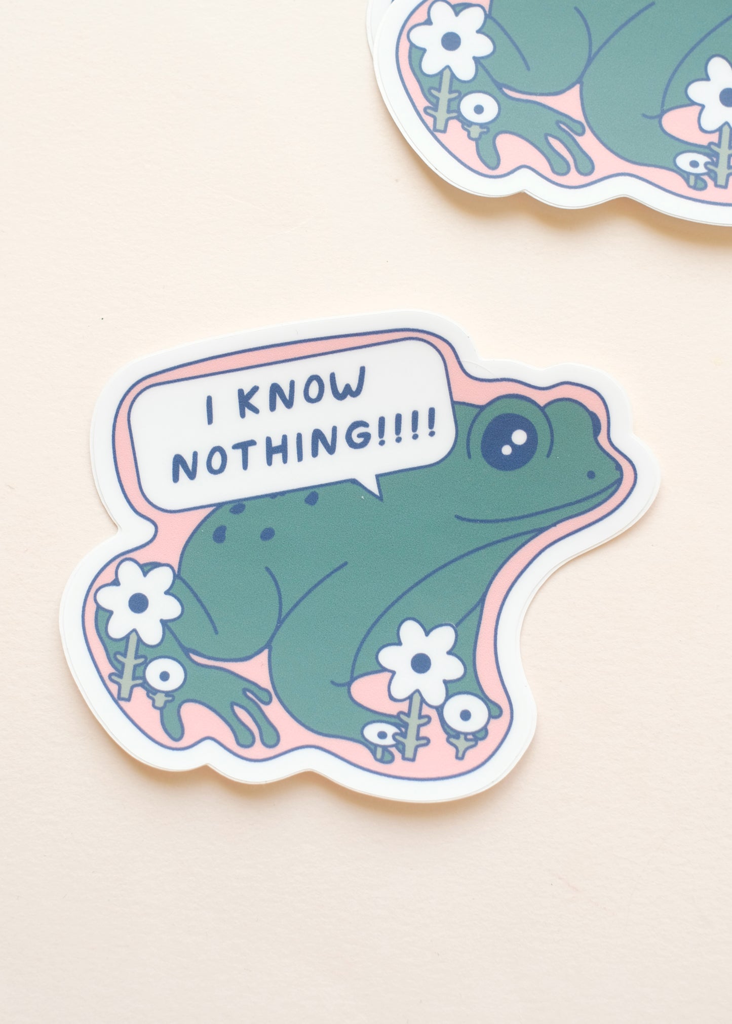 I Know Nothing Sticker