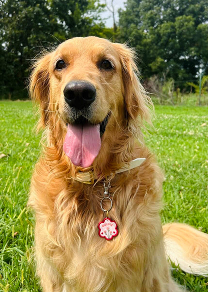 Pet Tag Keychain