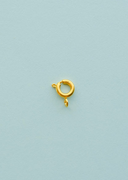 Gold-Plated 6mm Clasps S.H.
