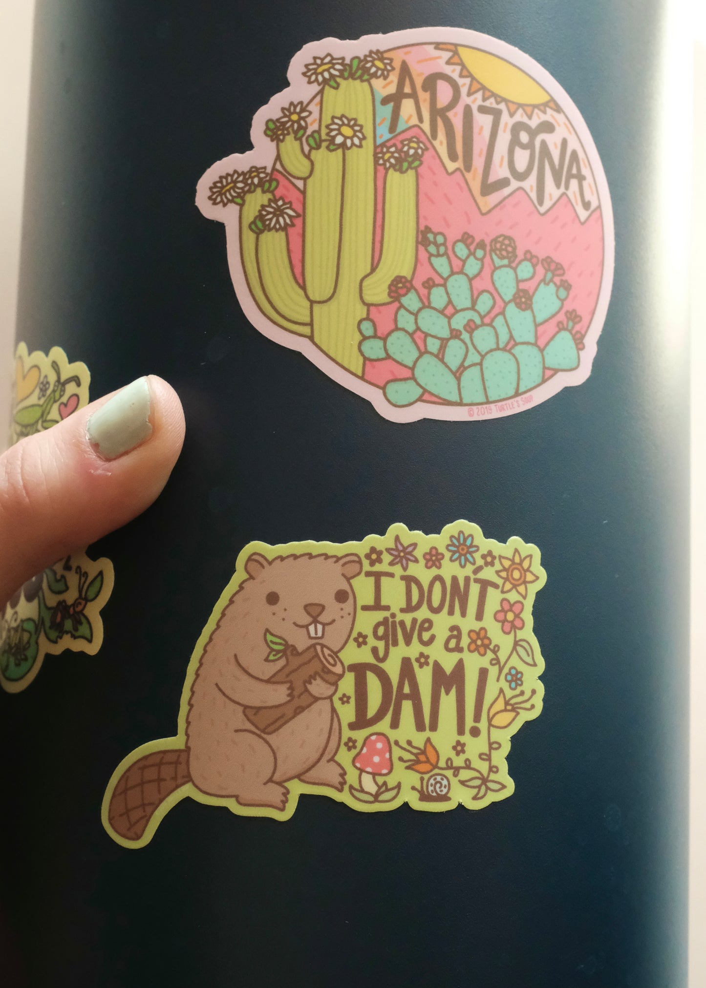 I Don’t Give a Dam Sticker